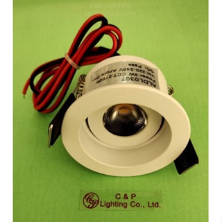 LED Adjustable Downlight 3W 2700K 20 IP20 w/driver non-dim