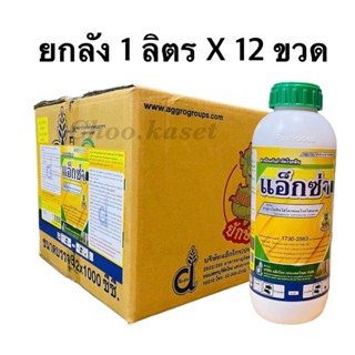 แอ็กซ่า #คาซูกาไมซินไฮโดรคลอไรด์ไฮเดรต2% ป้องกันเชื้อราและแบคทีเรีย 12 ลิตร