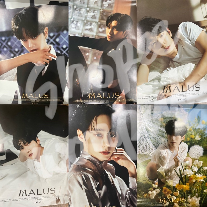 โปสเตอร์ รอบพรีออเดอร์ MALUS ONEUS | Shopee Thailand