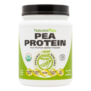 NaturesPlus Organic Pea Protein Powder 1.1 lbs (500 g) nature s plus ผง โปรตีน ถั่ว ออแกนิค