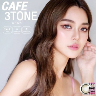 WinkLens Cafe 3 Tone Eff.14.5 Gray มินิ