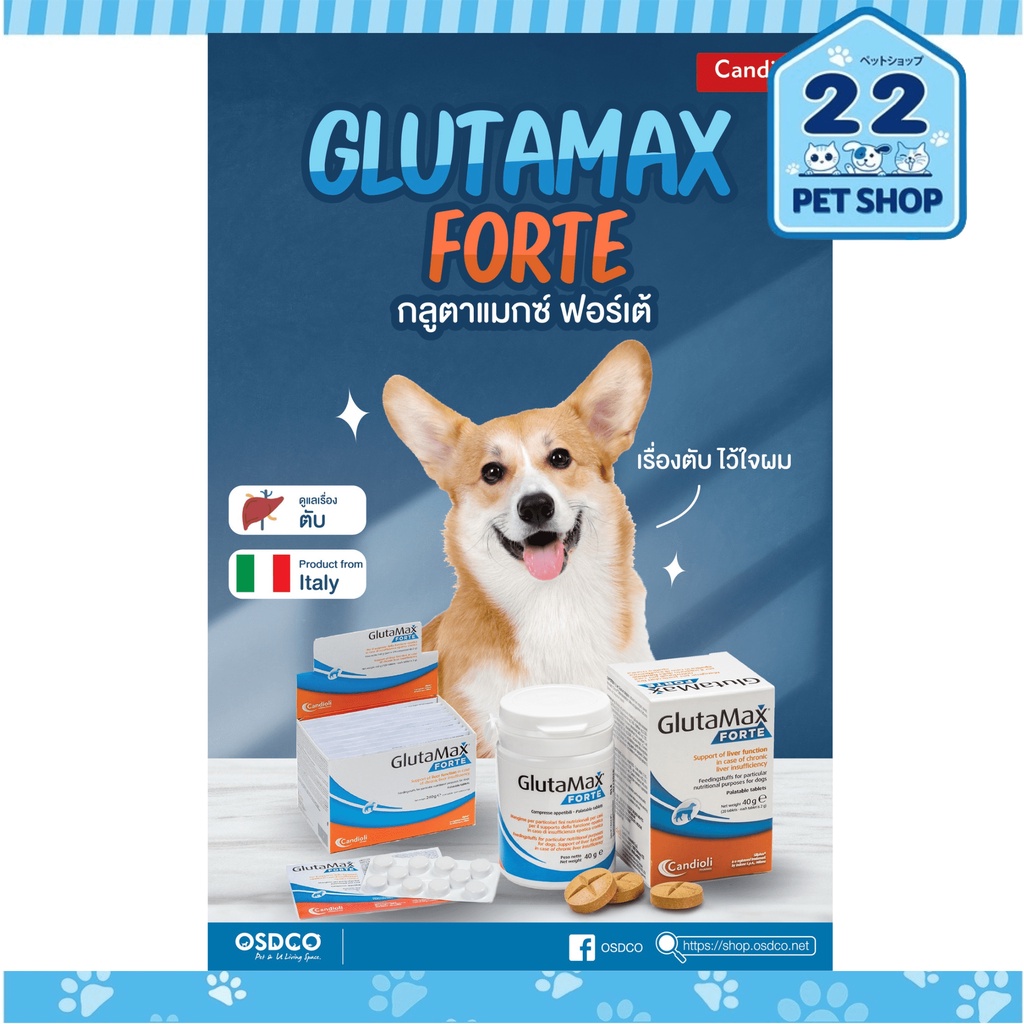 glutamax-forte-อาหารเสริมบำรุงตับสำหรับสุนัข-ดูแลตับอย่างครบวงจร-ช่วยเพิ่มการดูดซึมและประสิทธิภาพ-บรรจุ-20-เม็ด