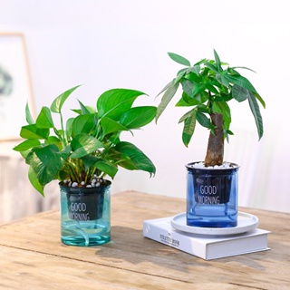 【AG】Plant Pot High Durability Large Capacity Plastic Automatic Water Absorbing Round Flower Pots with Cotton Ropes for Home