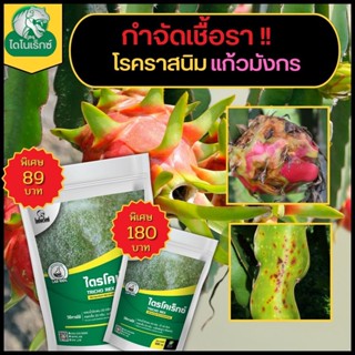 กำจัดเชื้อรา สาเหตุของโรคราสนิม ในแก้วมังกร ไตรโคเดอร์มา ไตรโคเร็กซ์ ปลอดภัยต่อคนและสัตว์เลี้ยง