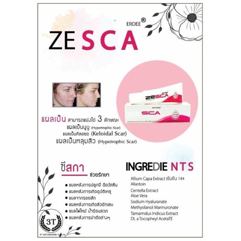 erdee-zesca-เออดี-ซีสกา-10g-เจลทาแผลเป็น-ซื้อเยอะราคาส่ง-zescar-allium-cepa