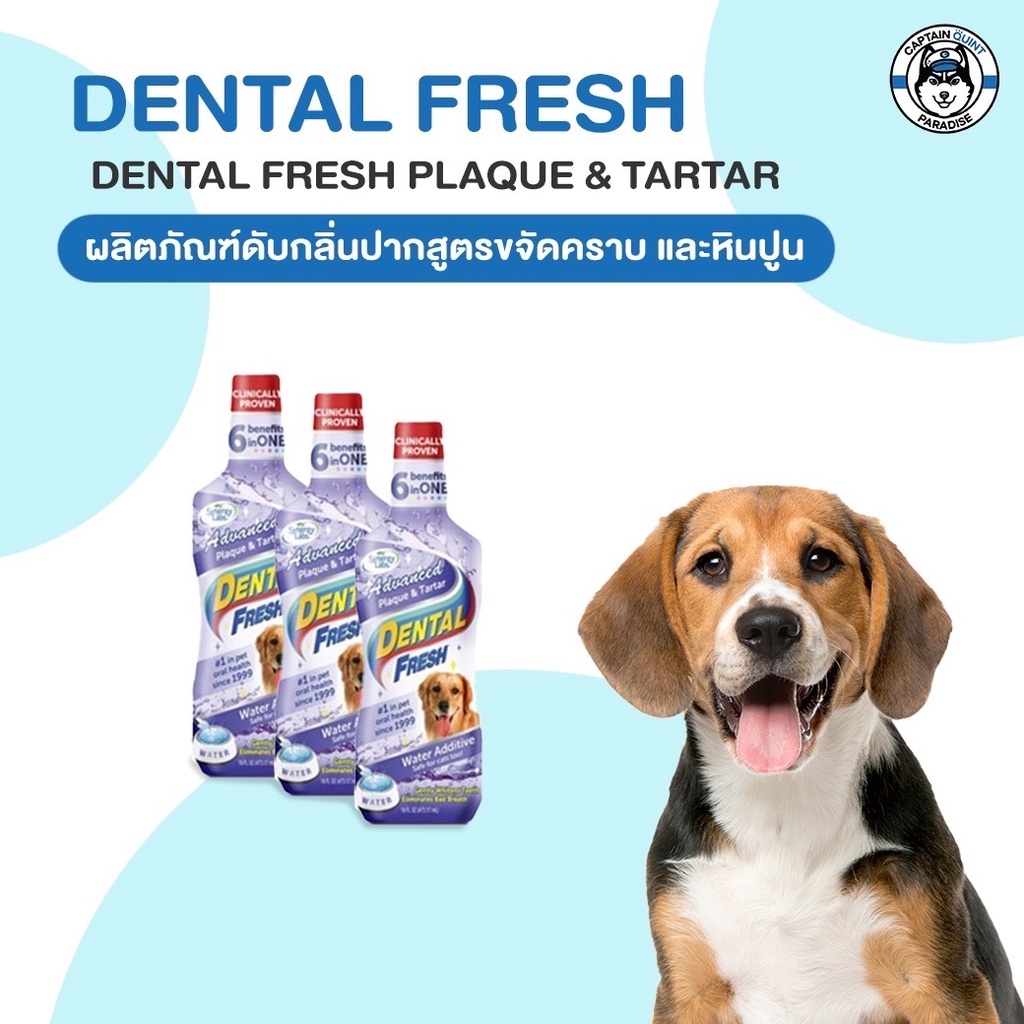 dental-fresh-น้ำยาลดกลิ่นปากสุนัข-ดูแลสุขภาพในช่องปาก-ลดหินปูน