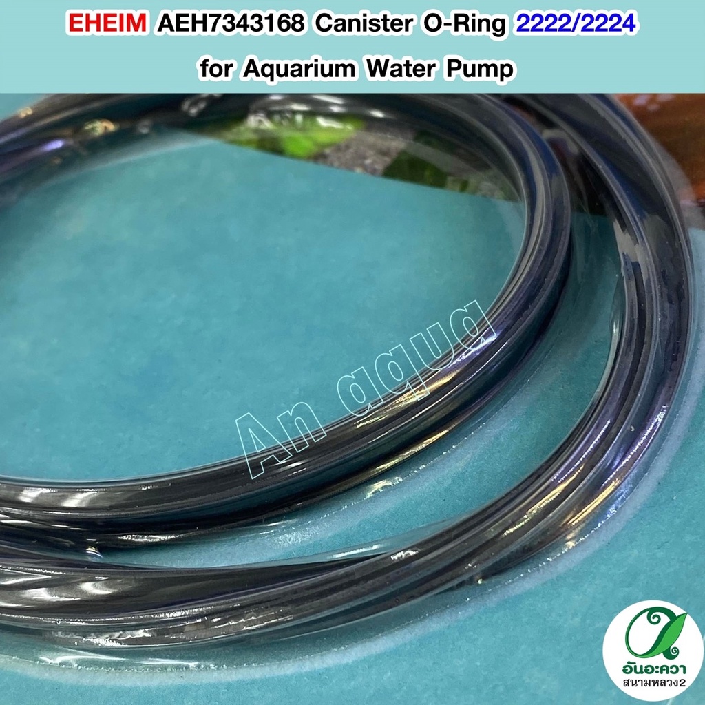 eheim-aeh7343168-canister-o-ring-2222-2224-โอริง-อีฮาม