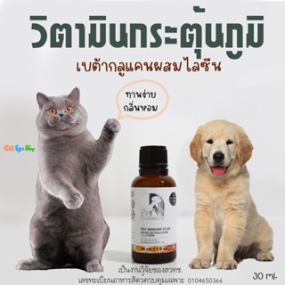 วิตามินกระตุ้นภูมิคุ้มกัน สำหรับสุนัขและแมว รสไก่และตับ Pet Ordinary 30 ml. ผลิตจากเบต้ากลูแคนและไลซีน