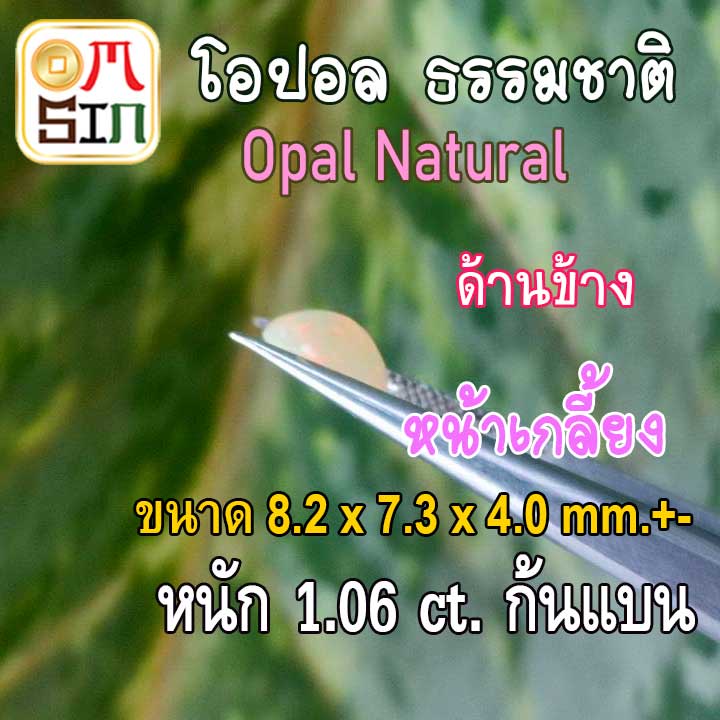 op001-พลอย-โอปอล-opal-natural-ไข่-8-2-x-7-3-x4-0-mm-หนัก-1-06-ct-มีเหลือบรุ้ง-ก้นแบน-พลอยสด-ธรรมชาติแท้-ดิบ-ไม่เผา