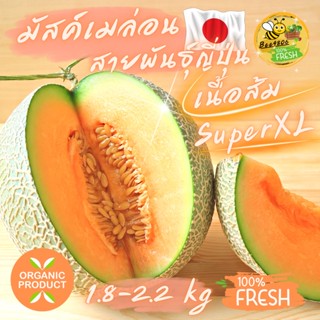 🍈มัสค์เมล่อน เนื้อสีส้ม"size SuperXL"เมล่อนสายพันธุ์ญี่ปุ่น(สินค้ารับประกันทุกผล)ที่สุดของขวัญที่รอบคอบและน่าประทับใจ