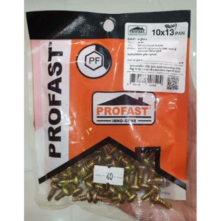 PROFAST สกรูยึดแปสำเร็จรูป ขนาด 10x13 mm.(แพค 50 ตัว) ตะปูยิงแป คม เจาะเร็ว ใช้ง่าย งานเสร็จเร็ว เคลือบสารกันสนิม