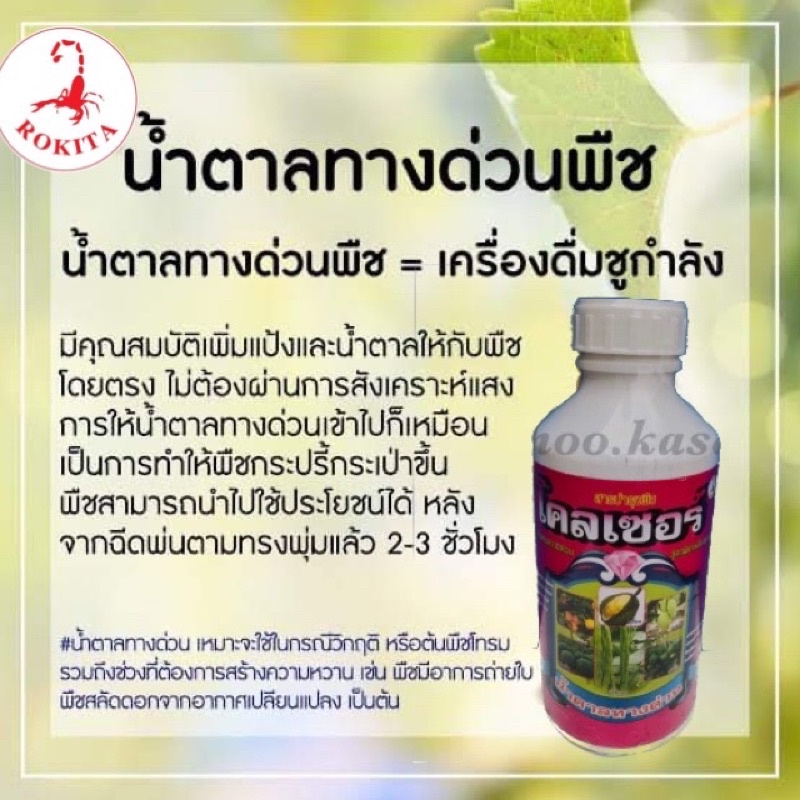 โคลเซอร์-น้ำตาลทางด่วน-น้ำใส-1-ลิตร