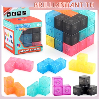 Cube Blocks 3X3X3 Magnetic Cube Puzzle Twist Building Blocks Brain Test ของเล่นเพื่อการศึกษาสำหรับเด็ก Bri