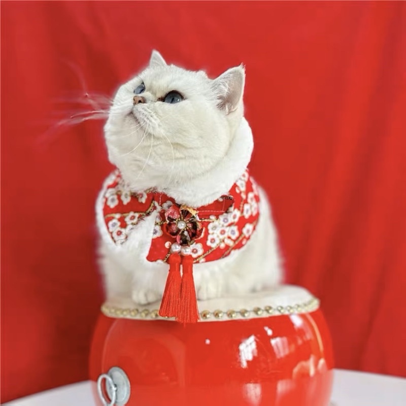 ภาพหน้าปกสินค้าชุดแมว ชุดเทศกาล ชุดตรุษจีน ชุดสัตว์เลี้ยง จากร้าน zakkatheory บน Shopee