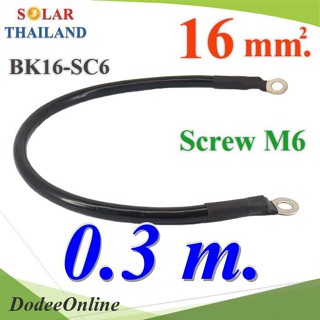 .สายพ่วงแบตเตอรี่ สำเร็จรูป ขนาด 16 Sq.mm. ย้ำหัวสาย 2 ด้าน รูสกรู M6 (สีแดง 30cm.) รุ่น Cable16-30cm-M6-B