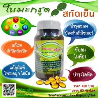 ใบมะกรูดสกัดเย็น  Cold pressed kaffir lime leaves 60 solf gels * ช่วยบำรุงสมอง เพิ่มความจำ * แก้อัลไซเมอร์ * 60 ซอฟท์เจล