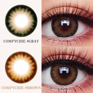 คอนแทคเลนส์ (ลิมิเตด) รุ่น Comfy Chic Gray / Brown &lt;&lt;&lt; แบบสายตาปกติและสายตาสั้น