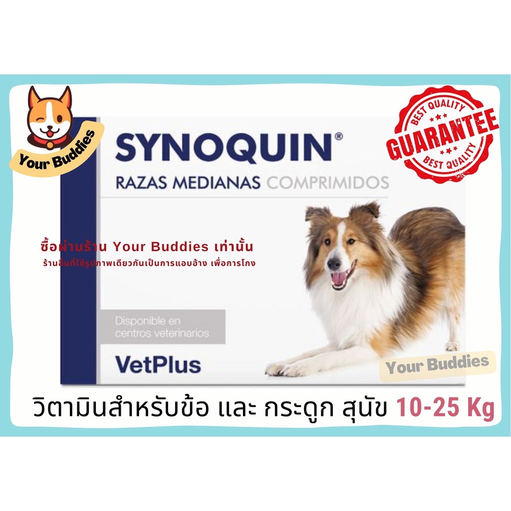 synoquin-efa-joint-for-dog-วิตามินและอาหารเสริมสุนัข-ขนาดกลาง-แบบเม็ดเคี้ยว-exp2023-ขนาด-10-25-kg