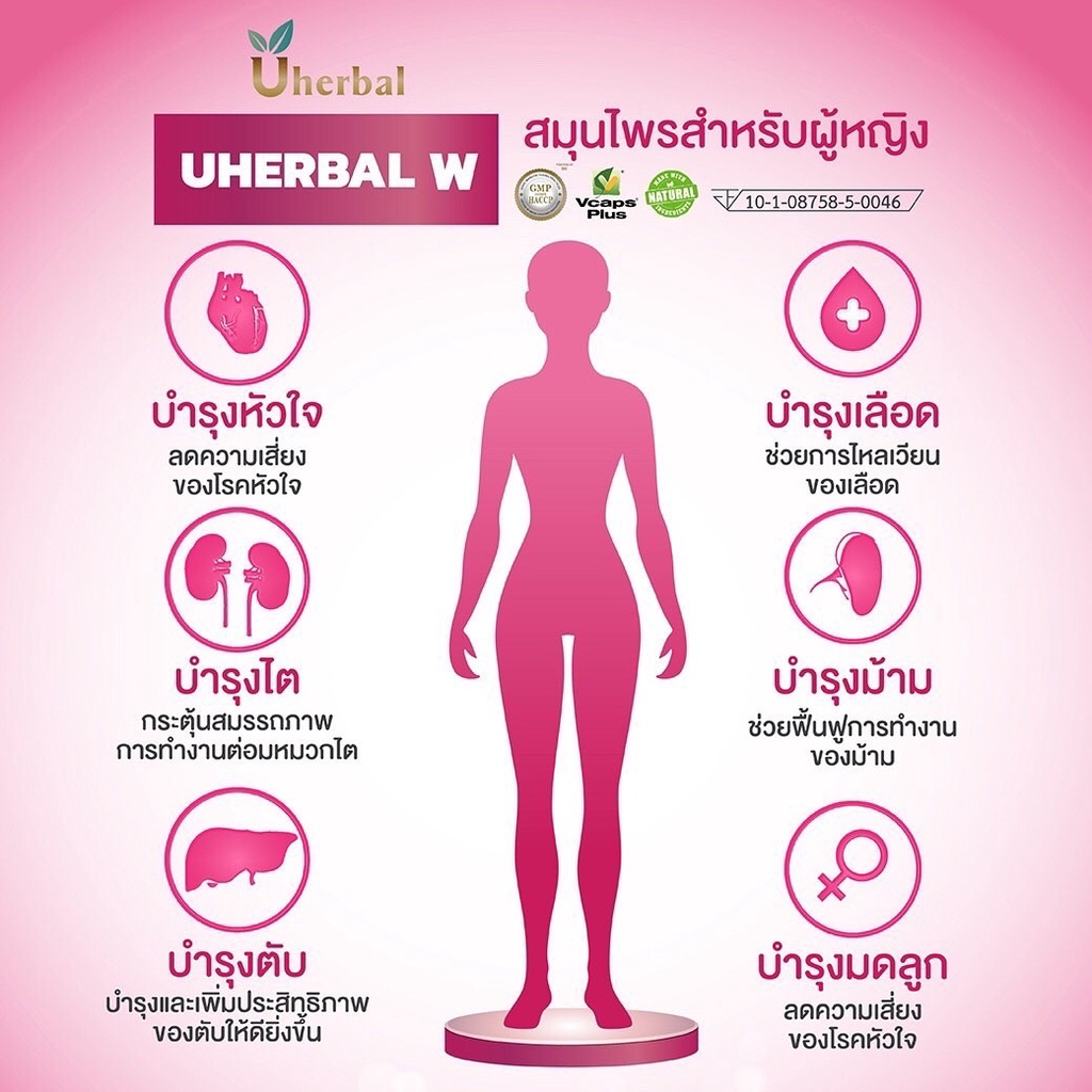 ภาพสินค้าUherbal W ยูเฮอร์เบิลดับเบิ้ลยู สำหรับผู้หญิง สมุนไพรดูแลระบบปัสสาวะ ลดการเกิดนิ่ว ลดการเกิดกระเพาะปัสสาวะอักเสบ จากร้าน uherbalthailand บน Shopee ภาพที่ 4