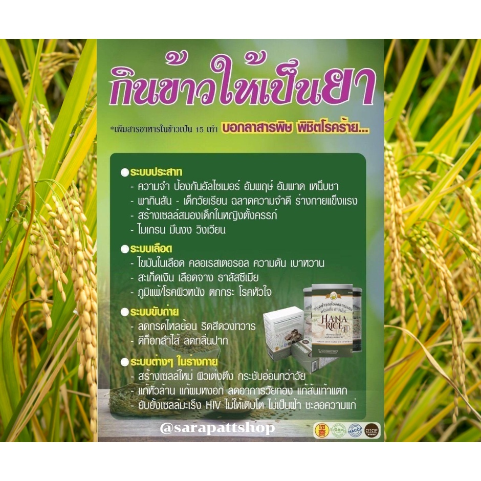 จมูกข้าวกล้องงอกHienz Riceโฉมใหม่! เป็นHana Rice เครื่องดื่มเพื่อสุขภาพ ...