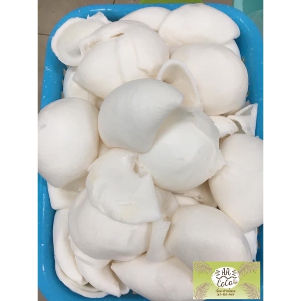 พร้อมส่ง-เนื้อมะพร้าวน้ำหอม-แผ่น-สองชั้น-1-kg-เนื้อมะพร้าวอ่อน