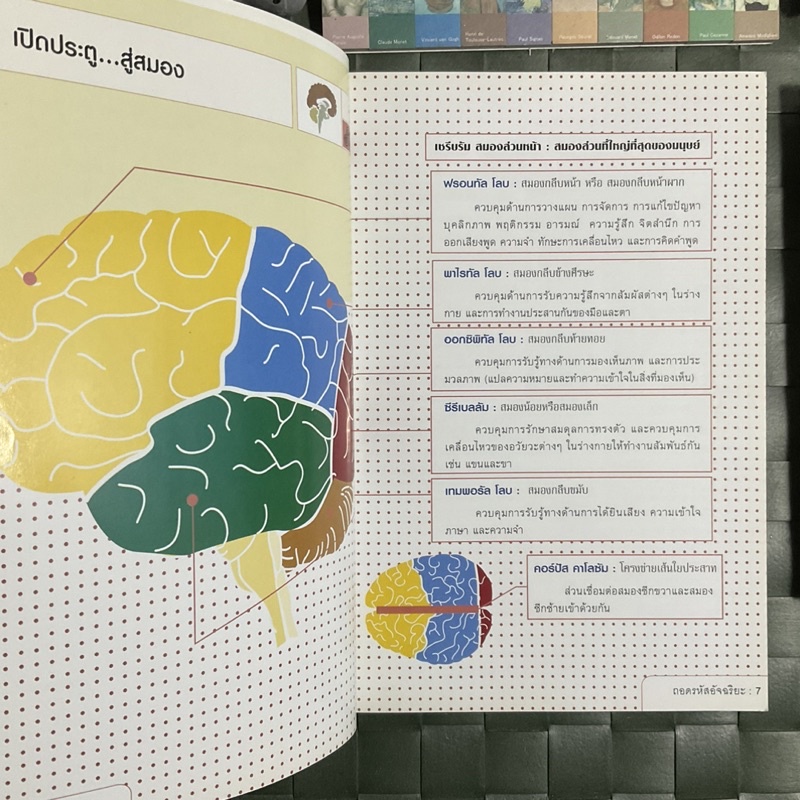 ถอดรหัสอัจฉริยะ-mind-games-ปลดล็อก-ความเป็นอัจฉริยะให้สมองของคุณ