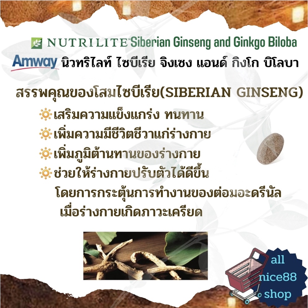 นิวทริไลท์-ไซบีเรีย-จิงเซง-แอนด์-กิงโก-บิโลบา-nutrilite-amway-โสมไซบีเรีย-สารสกัดจากใบแป๊ะก๊วย