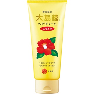 Oshima Tsubaki Hair Cream Moist 160g [Set of 2]
