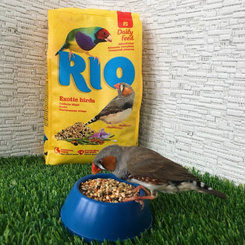 Rio Finches อาหารนกฟินซ์ ซีบร้า กระจอกชวา มีส่วนผสมของธัญพืชนานาชนิด ...