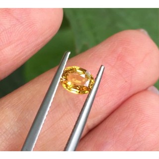 พลอยแซฟไฟซ์(Yellow Sapphire ) นน0.96กะรัต