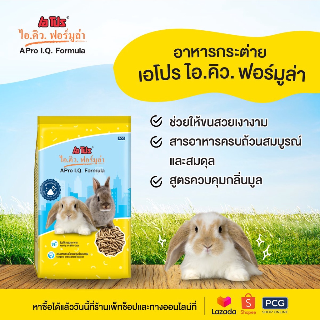3-ถุง-อาหารกระต่าย-apro-i-q-formula-สีเหลือง-อาหารกระต่ายสำเร็จรูปชนิดเม็ด-1-kg