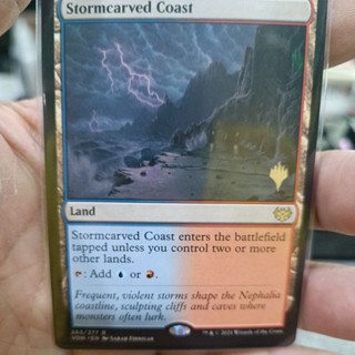 Stormcarved Coast MTG Single Card