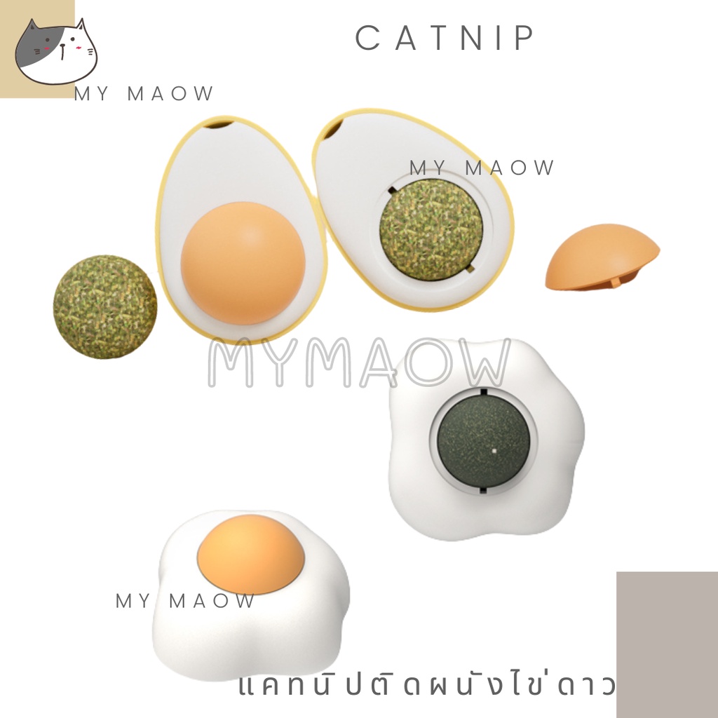 mm-cat-ของเล่นแมว-แคทนิปติดผนัง-แคทนิปแมว-แคทนิปไข่ดาว-บอลแคทนิป