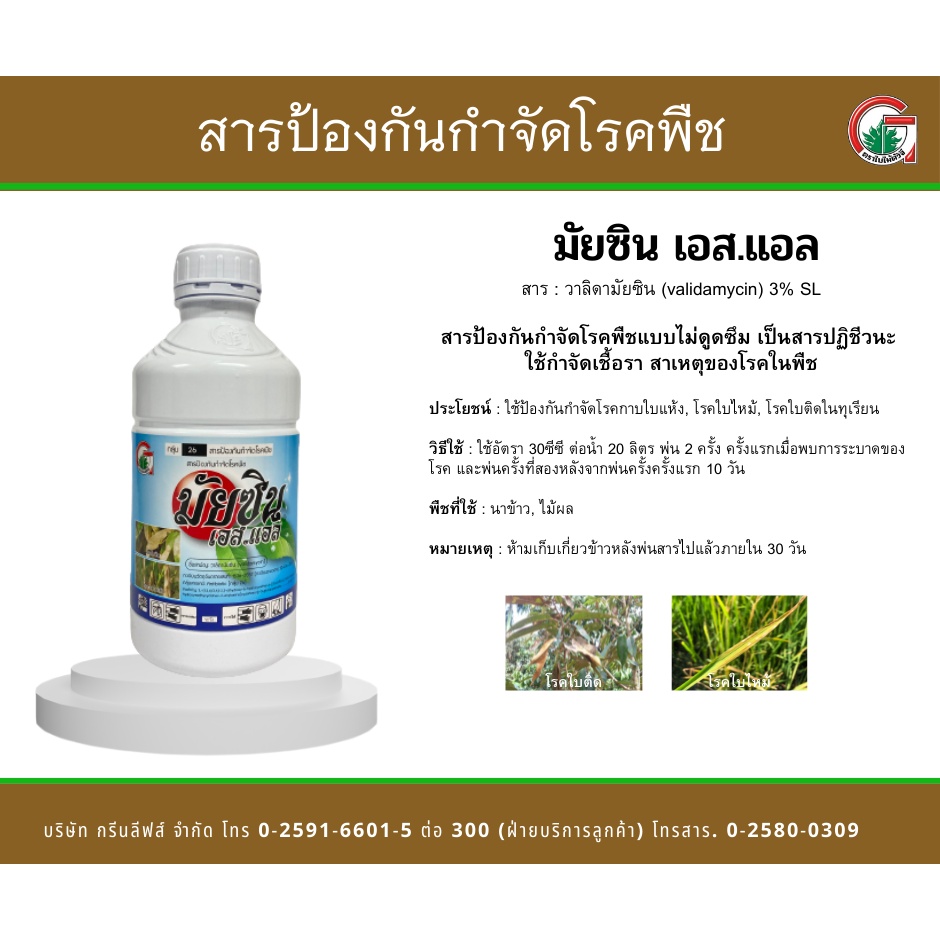 มัยซิน-1l-วาลิดามัยซิน-สารป้องกันกำจัดโรคพืช-สารป้องกันเชื้อรา-สารกำจัดโรคพืช-โรคกาบใบแห้ง-โรคราหลุม-ในข้าว