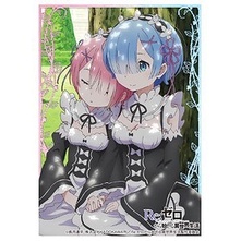 Bushiroad Sleeve HG Vol.1143 Re Life in a Different World from Zero [Rem &amp; Ram] Part.2