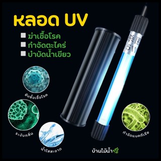 หลอดไฟ UV หลอดยูวี ติดตั้งในน้ำ ตู้ปลา อ่างปลา บ่อปลา ฆ่าเชื้อโรค กำจัดตะไคร่ บำบัดน้ำเขียว | บ้านไม้น้ำ🌿