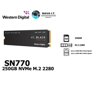 ภาพหน้าปกสินค้า🔥ใส่โค้ดลด50฿\"3D2L2UJU\"🔥 250GB SSD (เอสเอสดี) WD BLACK SN770 PCIe/NVMe M.2 2280 (WDS250G3X0E) รับประกัน 5 ปี ที่เกี่ยวข้อง