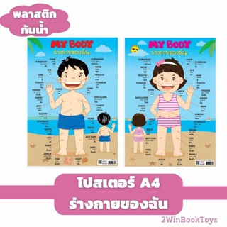 กันน้ำ! โปสเตอร์คำศัพท์ร่างกายของฉัน ขนาด A4 My Body (Boy &amp; Girl) EA-336 337 แผ่นพลาสติก 2WINBOOKTOYS