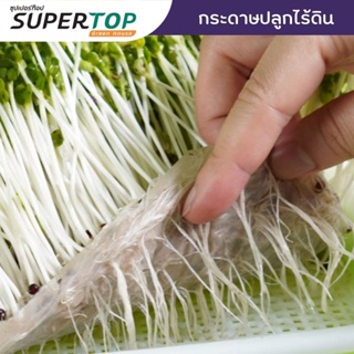 ภาพหน้าปกสินค้ากระดาษปลูก (Paper Plant) SUPERTOP สำหรับถาดเพาะไร้ดิน ที่เกี่ยวข้อง