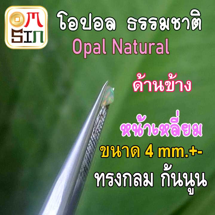a289-4-mm-1-เม็ด-พลอย-โอปอล-opal-natural-มีเหลือบรุ้ง-ก้นนูน-พลอยสด-ธรรมชาติแท้-ดิบ