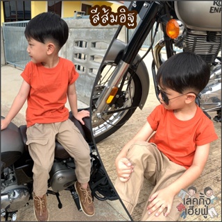 ภาพขนาดย่อของภาพหน้าปกสินค้าFUFU เสื้อยืดเด็กสีพื้น Size S-XXL อายุ 1-10 ปี แขนสั้น คอกลม ผ้าคอตตอน  Earth Tones 1 (TSR-1) จากร้าน leggingfufu บน Shopee ภาพที่ 6