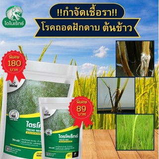 กำจัดเชื้อรา สาเหตุของโรคถอดฝักดาบ ในต้นข้าว ไตรโคเดอร์มา ไตรโคเร็กซ์ ปลอดภัยต่อคนและสัตว์เลี้ยง