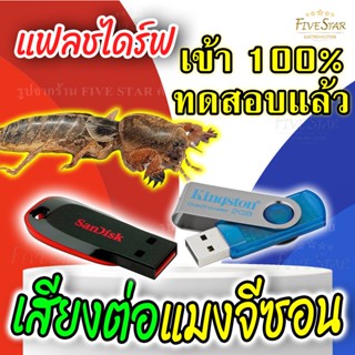 แฟลชไดร์ฟเสียงล่อแมงจีซอน ทดสอบแล้วติด 100% (รับประกัน1ปี) USBเสียงล่อแมลง เปิดยาวต่อเนื่องได้ทั้งคืน มาตรฐาน FiveStar