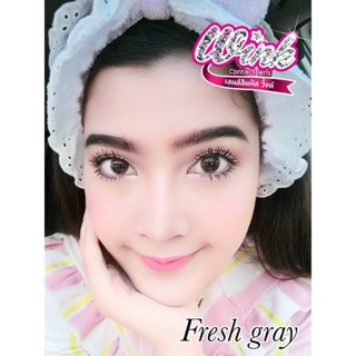 WinkWow Fresh Eff.14.5 Gray มินิ