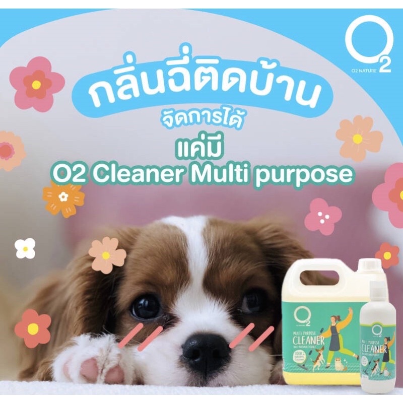 น้ำยาทำความสะอาด-o2-cleaner-500ml-ฆ่าเชื้อโรค-ดับกลิ่น-เช็ด-ถูพื้น-ล้าง-ปลอดภัยกับสัตว์เลี้ยง