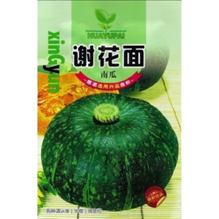 เมล็ดพันธุ์ ฟักทองญี่ปุ่น ผิวเขียว ( Japanese Pumpkin ) สายพันธุ์ OP บรรจุ 25 เมล็ด