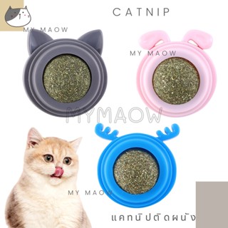 MM CAT // ของเล่นแมว แคทนิปติดผนัง แคทนิปติดผนัง06 บอลแคทนิป แคทนิปแมว