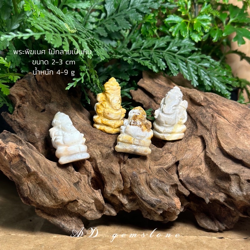 petrified-wood-ไม้กลายเป็นหิน-แกะสลักองค์พระพิฆเนศ-ad-gemstone