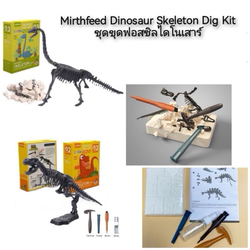 mirthfeed-dinosaur-skeleton-dig-kit-ชุดขุดฟอสซิลไดโนเสาร์