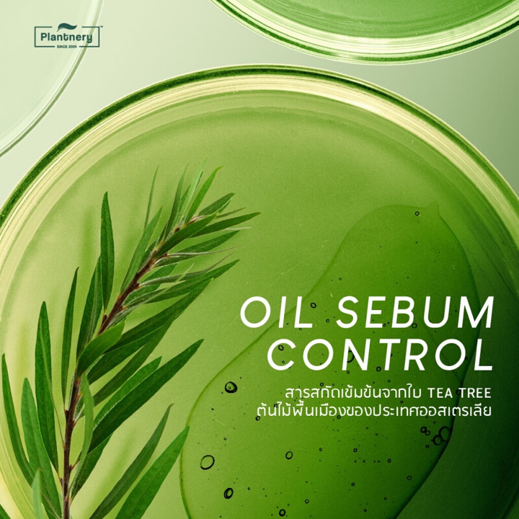 plantnery-tea-tree-acne-first-cleansing-water-300ml-แพลนท์เนอรี่-คลีนซิ่ง-ผลิตภัณฑ์ทำความสะอาดเครื่องสำอาง